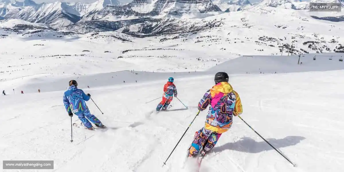 行业领先的理由