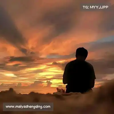 万桢翼